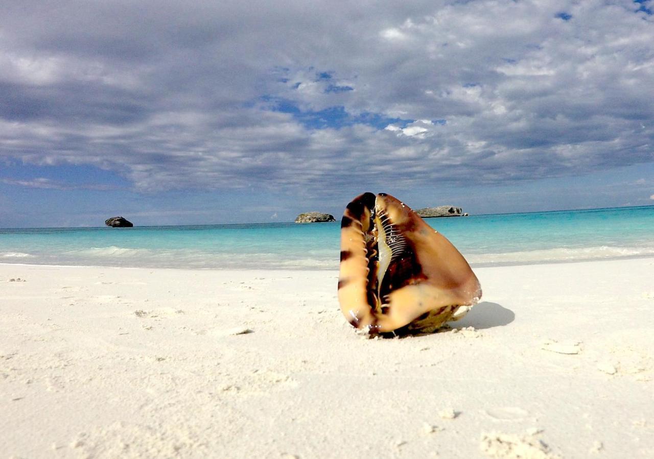 Appartamento Turtles Nest Bahamas George Town Esterno foto