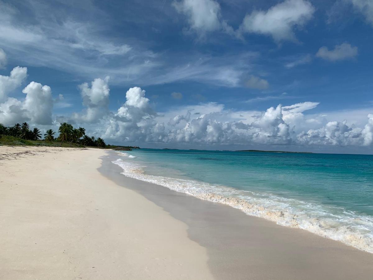Appartamento Turtles Nest Bahamas George Town Esterno foto