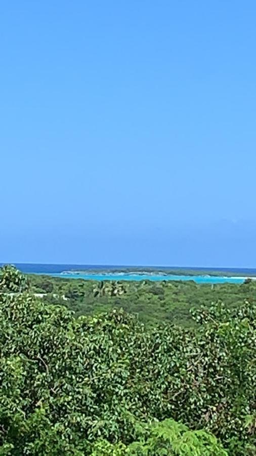 Appartamento Turtles Nest Bahamas George Town Esterno foto