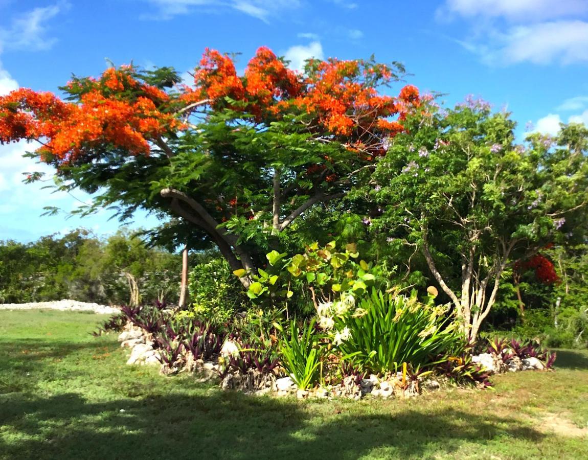 Appartamento Turtles Nest Bahamas George Town Esterno foto